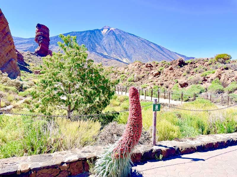 Parque Nacional Del Teide 