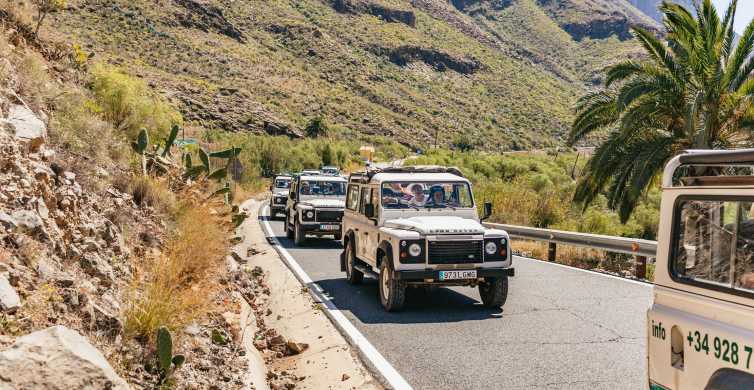 Jeep Safari en La Gomera