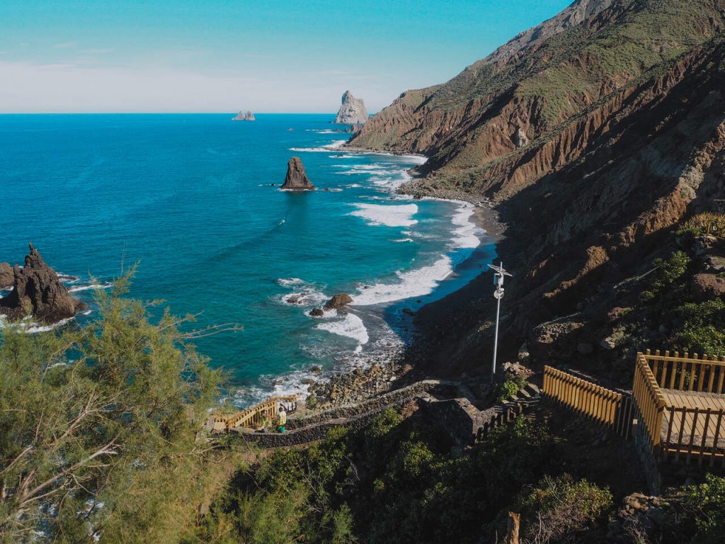 Excursión a Santa Cruz - La Laguna y bosque de Laurisilva