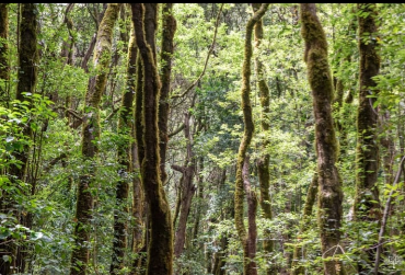 Excursiones en francés