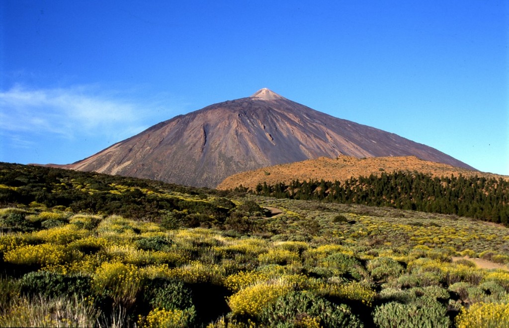 Tour Teide VIP