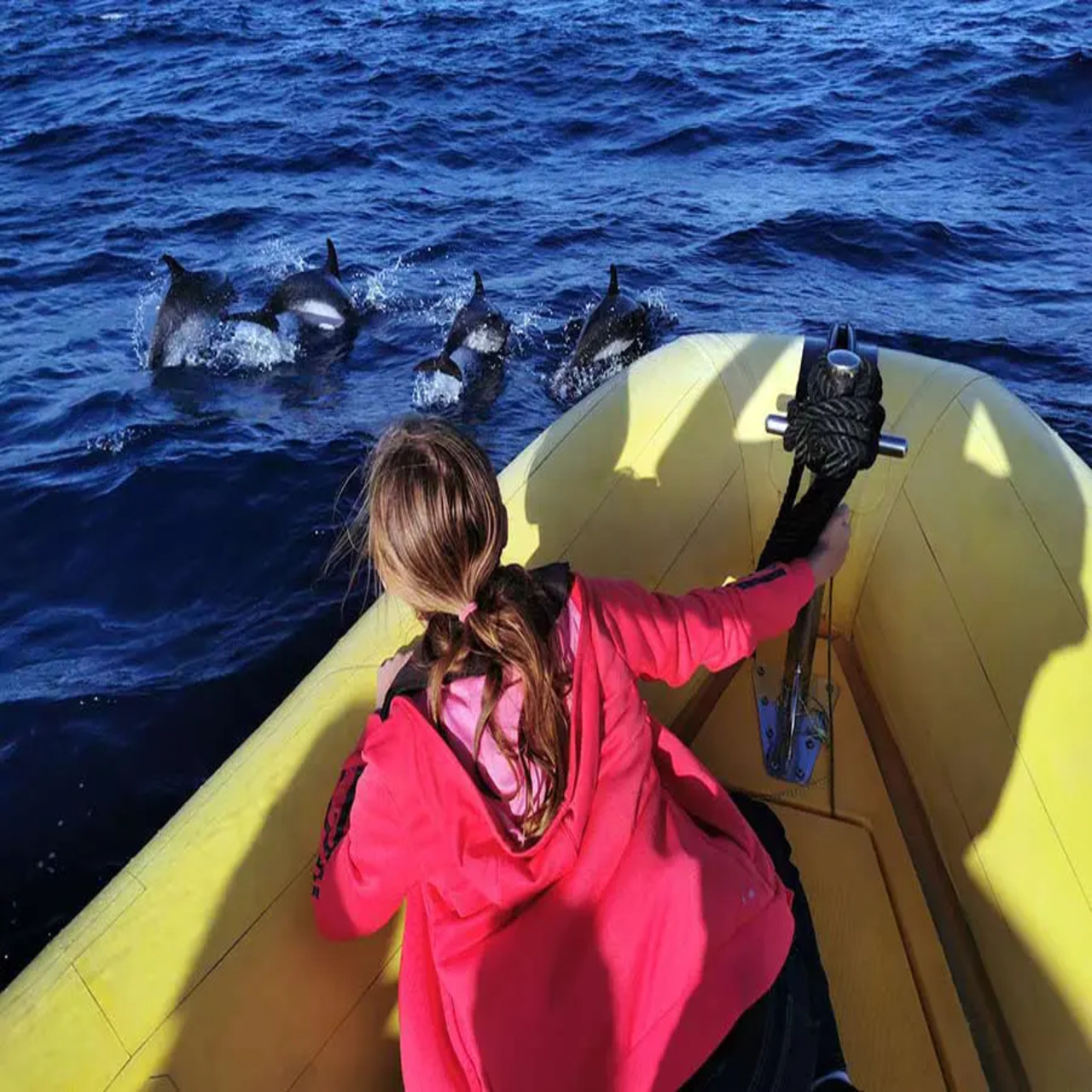 Waverider barco