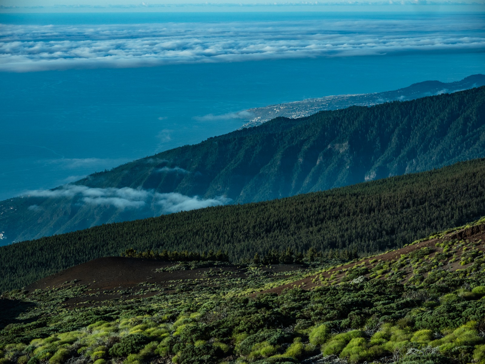 Teide by Night Tenerife