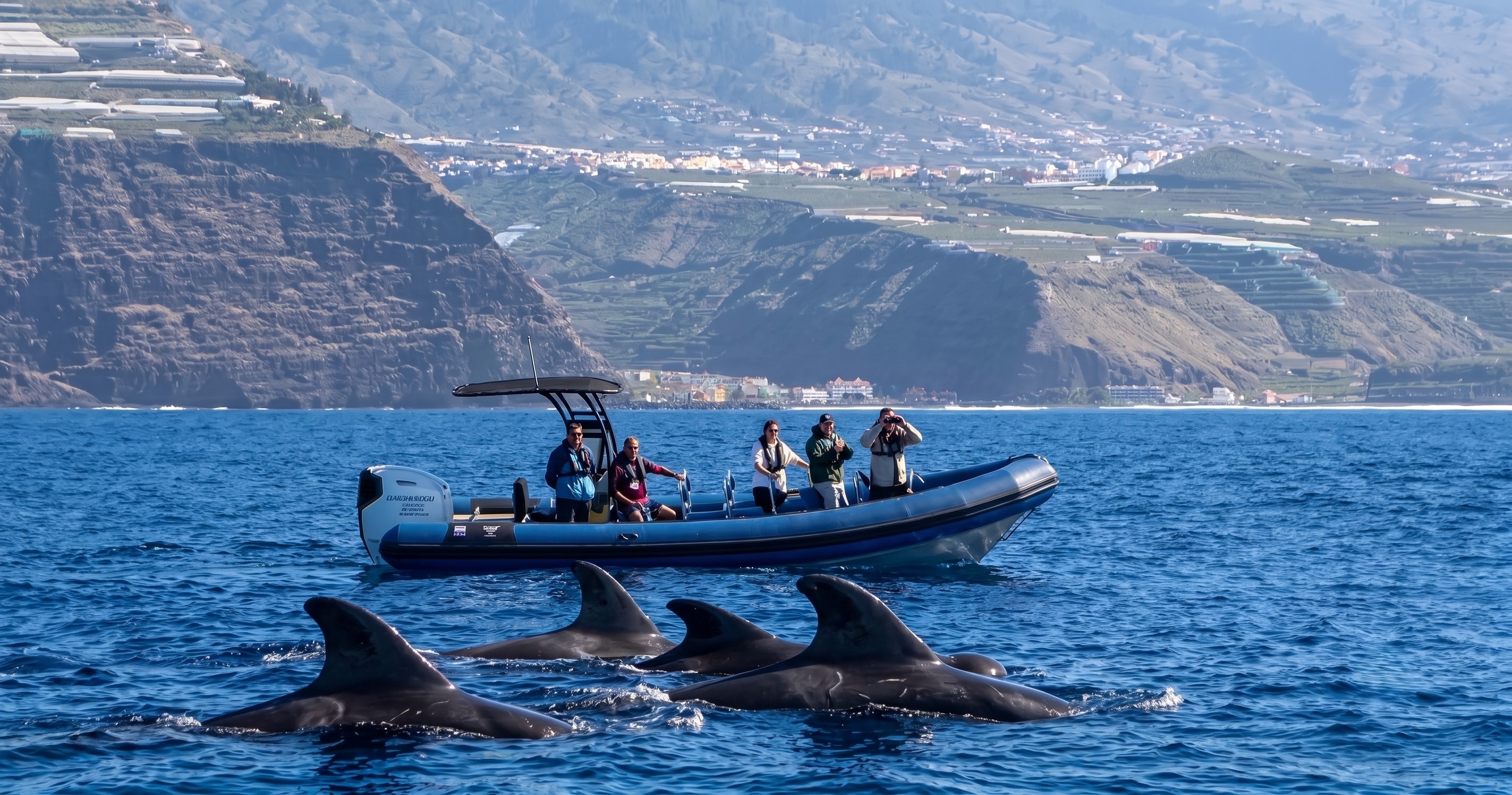 Excursión por el Noroeste de La Palma