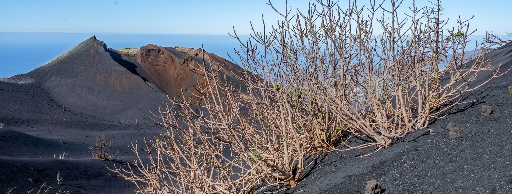 Volcán Tajogaite - Excursión