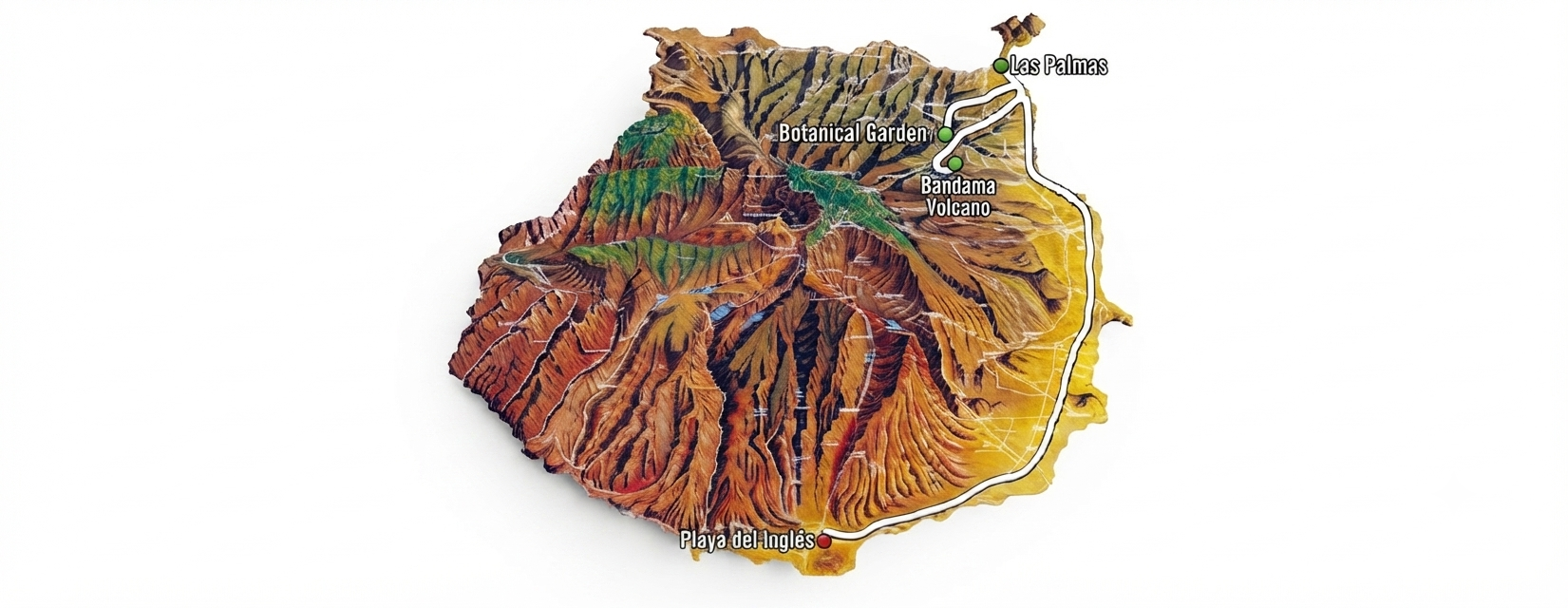 Las Palmas Tour: Vegueta, Jardín Botánico, Crater de Bandama