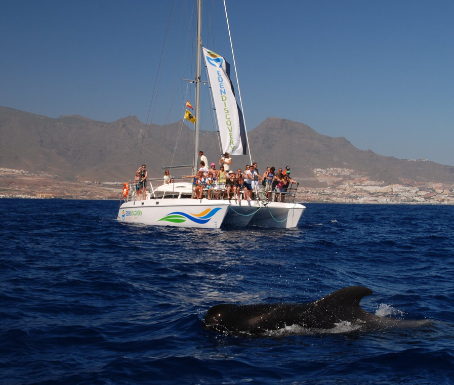 Eden Catamaran Charter