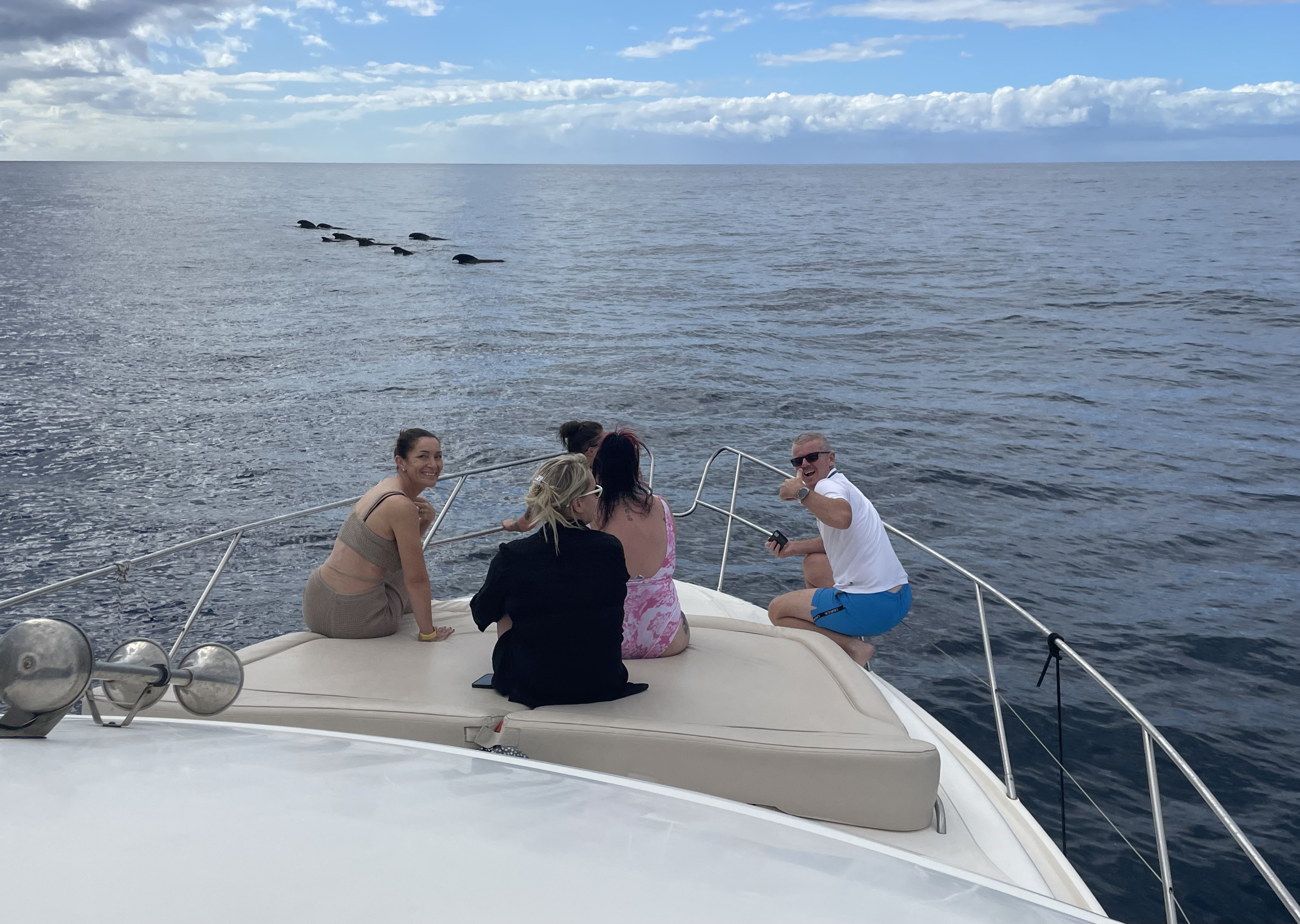 Royal Ocean Yate compartido