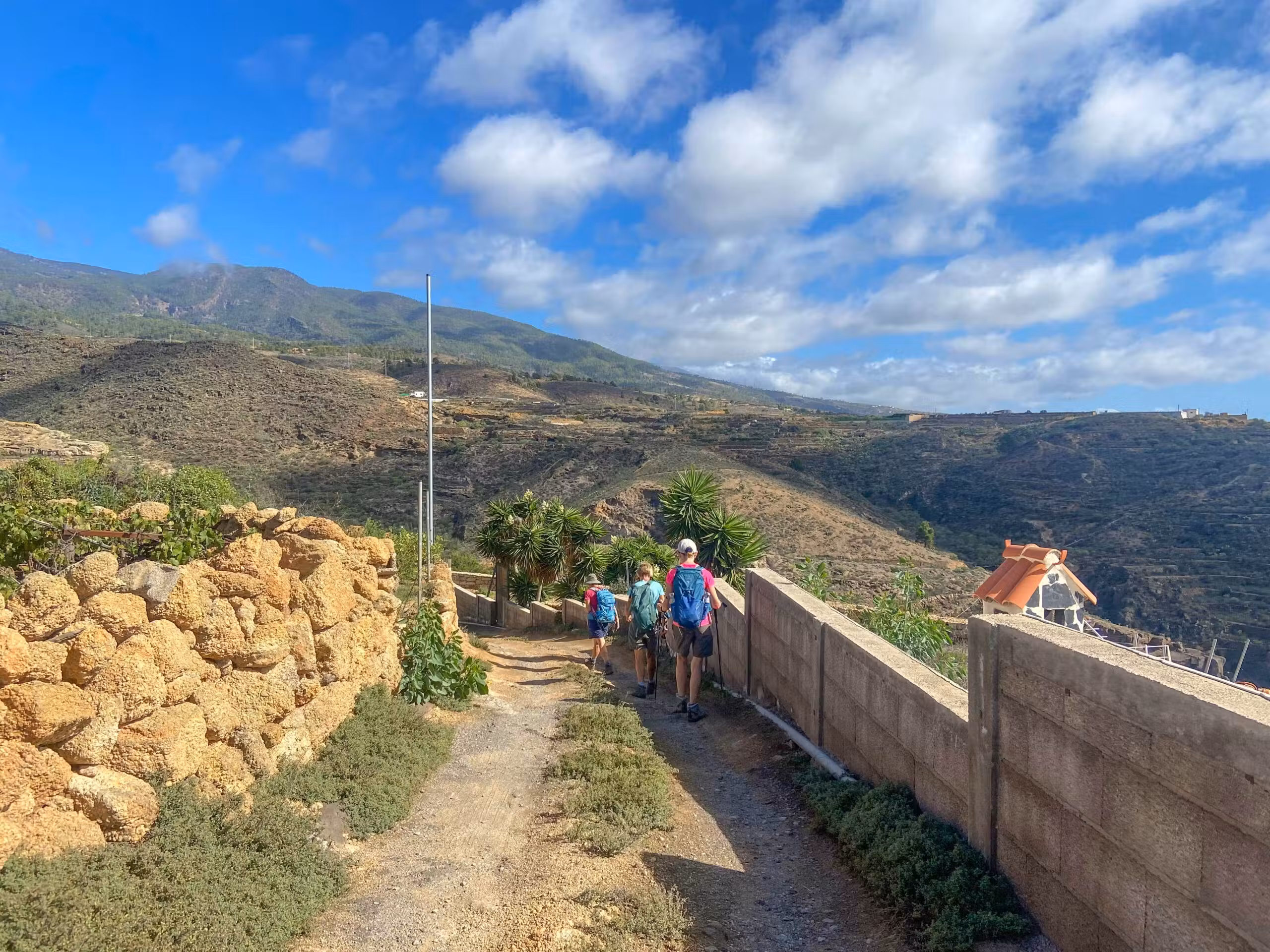 Rutas de Senderismo en Tenerife
