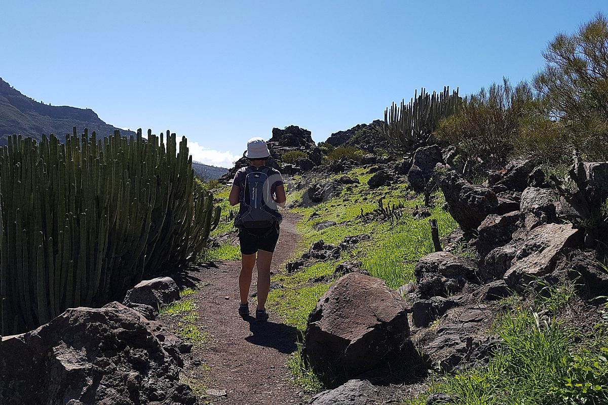 Rutas de Senderismo en Tenerife