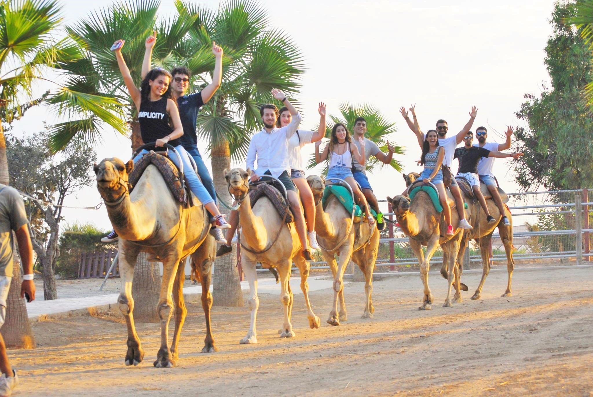 Camel Park por Tenerife