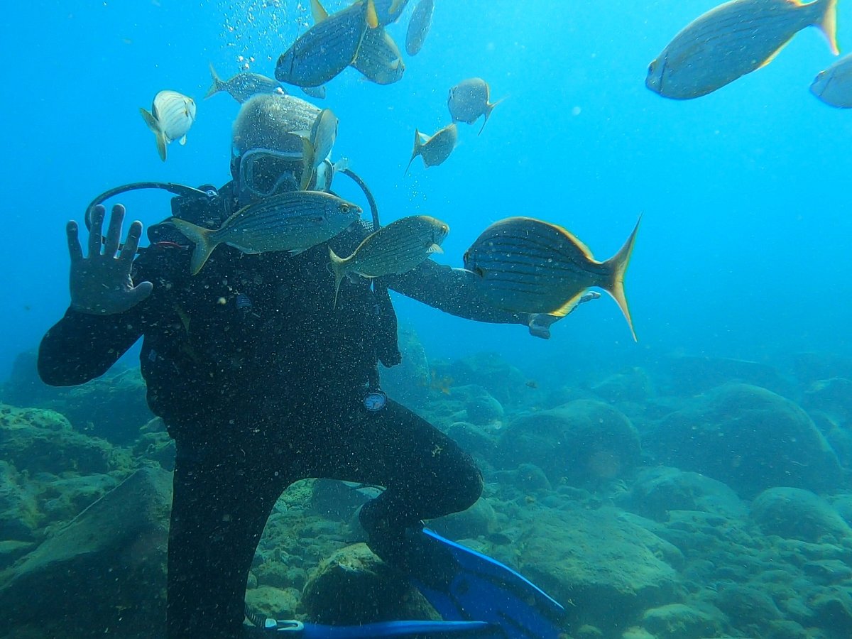 Buceo y Snorkel Big Fish 